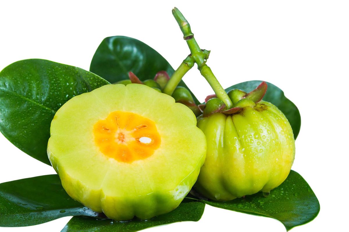Garcinia Cambogia Gelatide